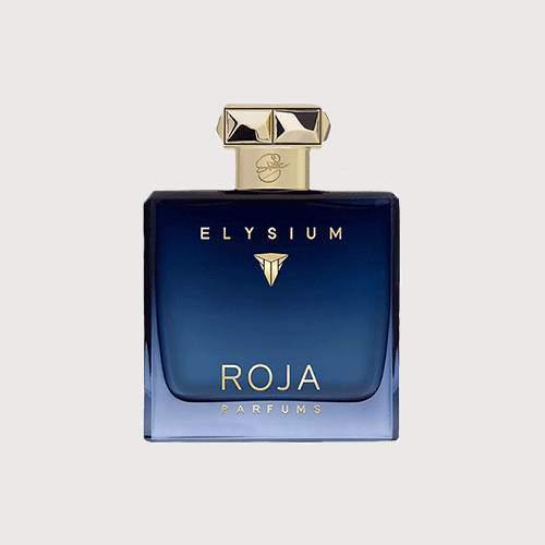 Nước hoa nam Roja Parfums Elysium đẳng cấp qúy ông mã NH01